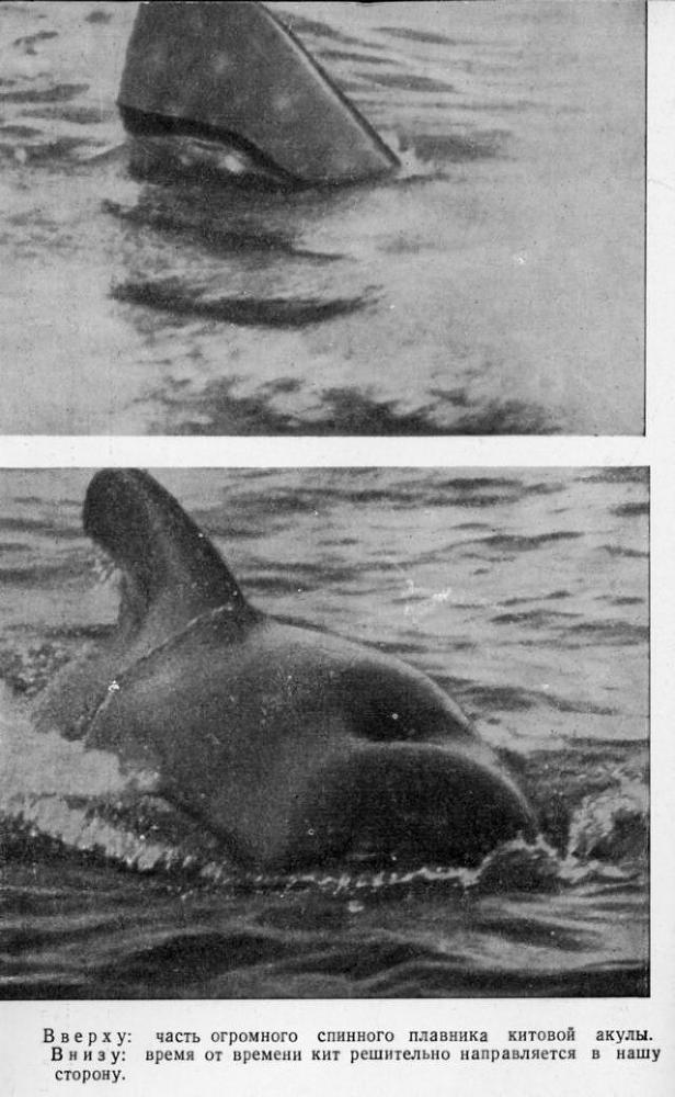 Путешествие на