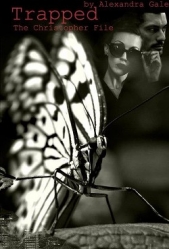 Дело Кристофера (СИ) - автор Гейл Александра 