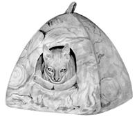 Кошки - сфинксы - i_021.jpg