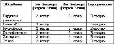 Кошки  - сфинксы - i_034.png