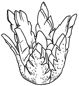 Оригинальные украшения из овощей и фруктов - i_009.png