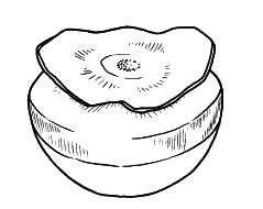 Оригинальные украшения из овощей и фруктов - i_031.png