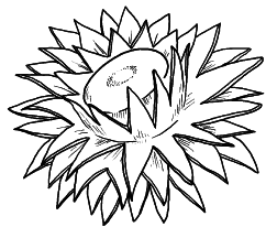 Оригинальные украшения из овощей и фруктов - i_034.png