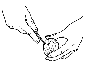 Оригинальные украшения из овощей и фруктов - i_038.png