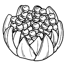 Оригинальные украшения из овощей и фруктов - i_041.png