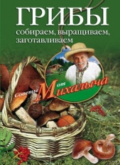 Грибы. Собираем, выращиваем, заготавливаем - автор Звонарев Николай Михайлович 