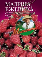 Малина, ежевика. Сорта, выращивание, уход - автор Звонарев Николай Михайлович 