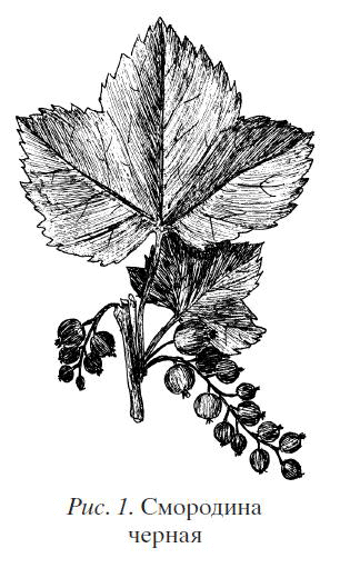 Помидоры, огурцы. Сажаем, выращиваем, заготавливаем - pict1.png