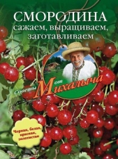 Смородина. Сажаем, выращиваем, заготавливаем - автор Звонарев Николай Михайлович 