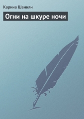 Огни на шкуре ночи - автор Шаинян Карина Сергеевна 