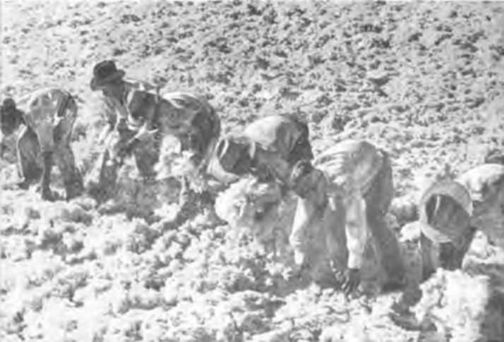 Кастро Алвес - _13.jpg