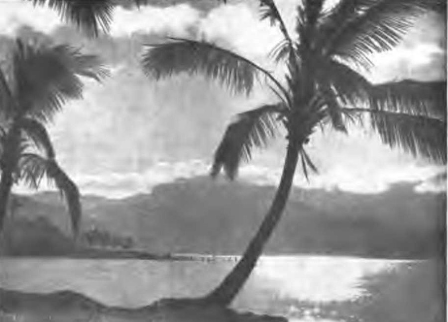 Кастро Алвес - _28.jpg