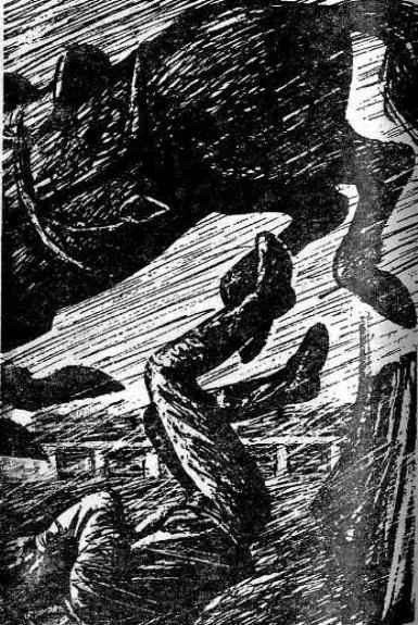 Современный английский детектив - i_009.jpg