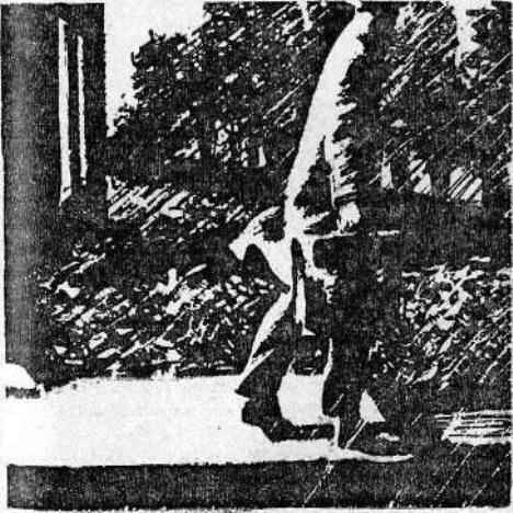 Современный английский детектив - i_011.jpg