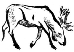 Сердце Волка - _08.jpg