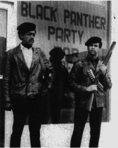 Антология современного анархизма и левого радикализма. Том 2 - i_029.png