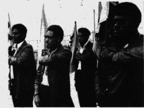 Антология современного анархизма и левого радикализма. Том 2 - i_030.png