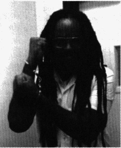 Антология современного анархизма и левого радикализма. Том 2 - i_037.png