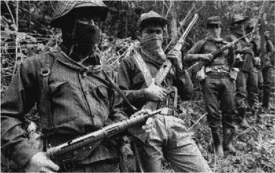 Антология современного анархизма и левого радикализма. Том 2 - i_074.png