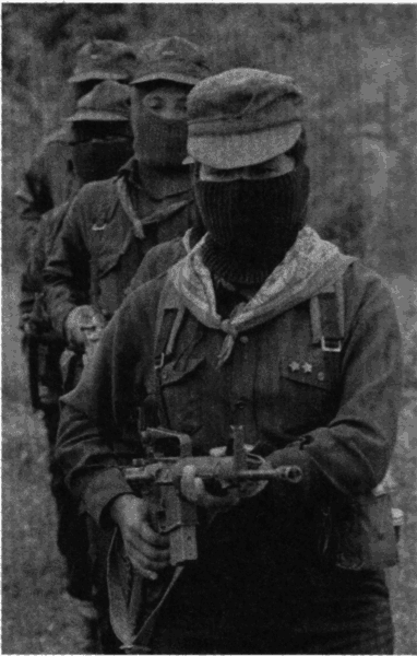 Антология современного анархизма и левого радикализма. Том 2 - i_079.png