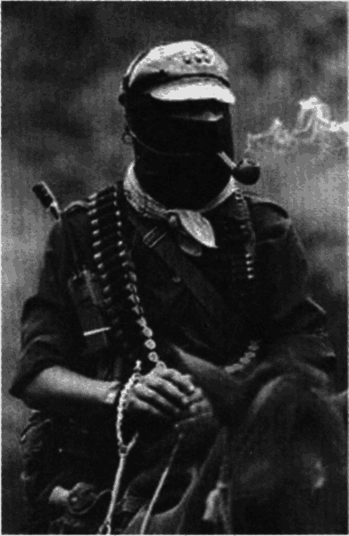 Антология современного анархизма и левого радикализма. Том 2 - i_081.png