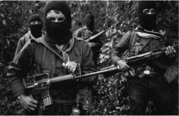 Антология современного анархизма и левого радикализма. Том 2 - i_086.png