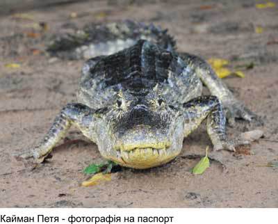 Любов і піраньї - _07.jpg