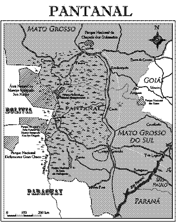 Любов і піраньї - pic_4.png