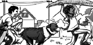 Навіжені в Перу - pic_3.png