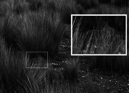 Подорож на Пуп Землі. Т. 1 - pic_2.png