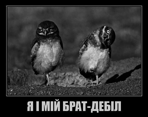 Твердиня - pic_9.png