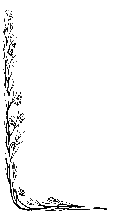 Мэри Поппинс и соседний дом - i_005.png