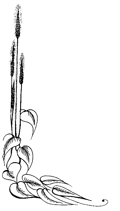 Мэри Поппинс и соседний дом - i_011.png