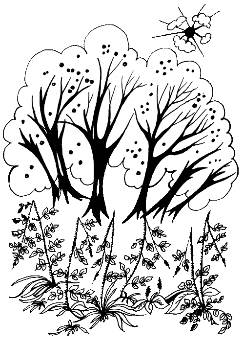 Мэри Поппинс и соседний дом - i_024.png