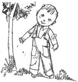 История с «летающими тарелками» - i_008.jpg