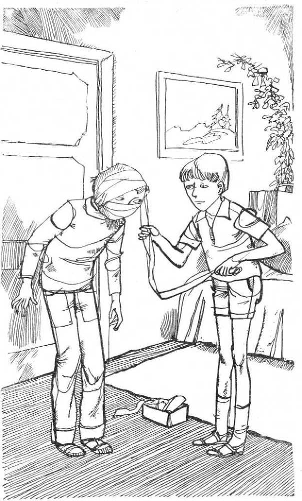 История с «летающими тарелками» - i_012.jpg