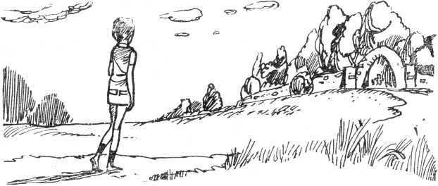 История с «летающими тарелками» - i_021.jpg