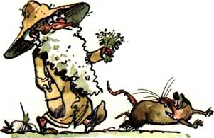 Муфта, Полботинка и Моховая Борода. Книга 2 - any2fbimgloader14.jpeg