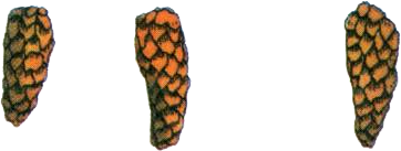 Рыба ходит, колобродит... - i_045.png