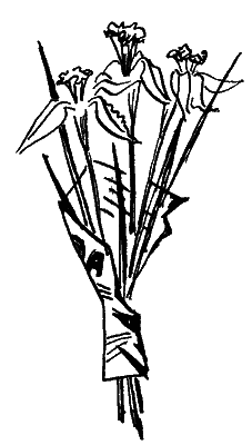 Весенние перевертыши (С иллюстрациями) - i_002.png