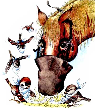 Мохнатая азбука - i_005.jpg