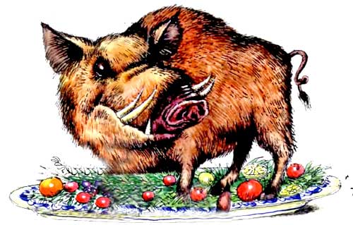 Мохнатая азбука - i_013.jpg