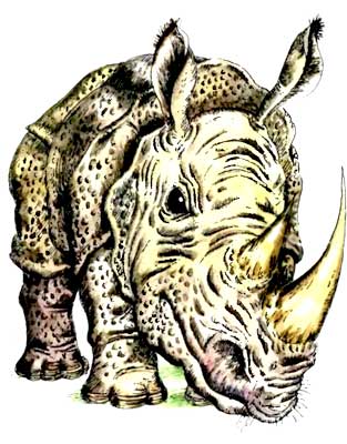 Мохнатая азбука - i_019.jpg