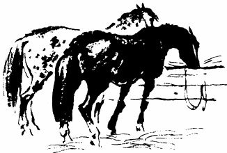 Разгром - _09.jpg