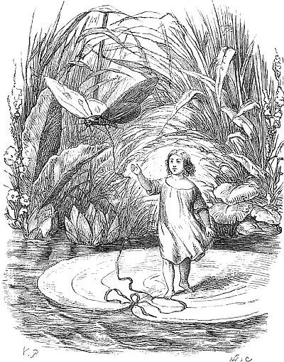 Знаем ли мы свои любимые сказки? Тайны и секреты сказочных произведений. О том, как сказки приходят к людям из прошлого и настоящего - _01.png