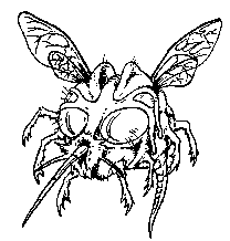 Инопланетные пришельцы - UFO206.png