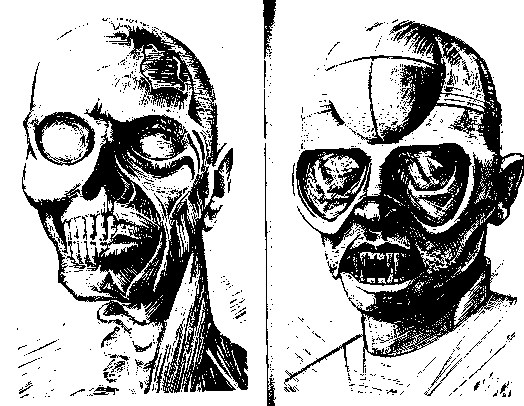 Инопланетные пришельцы - UFO218C.png