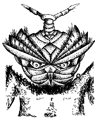 Инопланетные пришельцы - UFO154.png