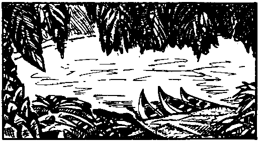 Охотники за каучуком - pic_16.png