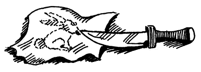 В стране солнечных зайчиков - i_008.png